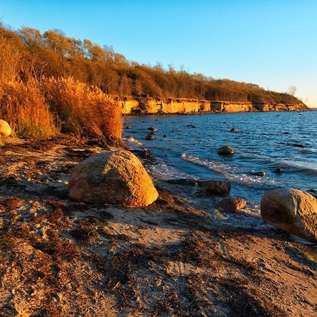 Daenische Ferienhaeuser Am Salzhaff Haus Pacific Insel Poel Kültér fotó