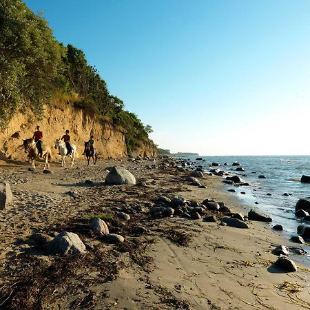 Daenische Ferienhaeuser Am Salzhaff Haus Pacific Insel Poel Kültér fotó