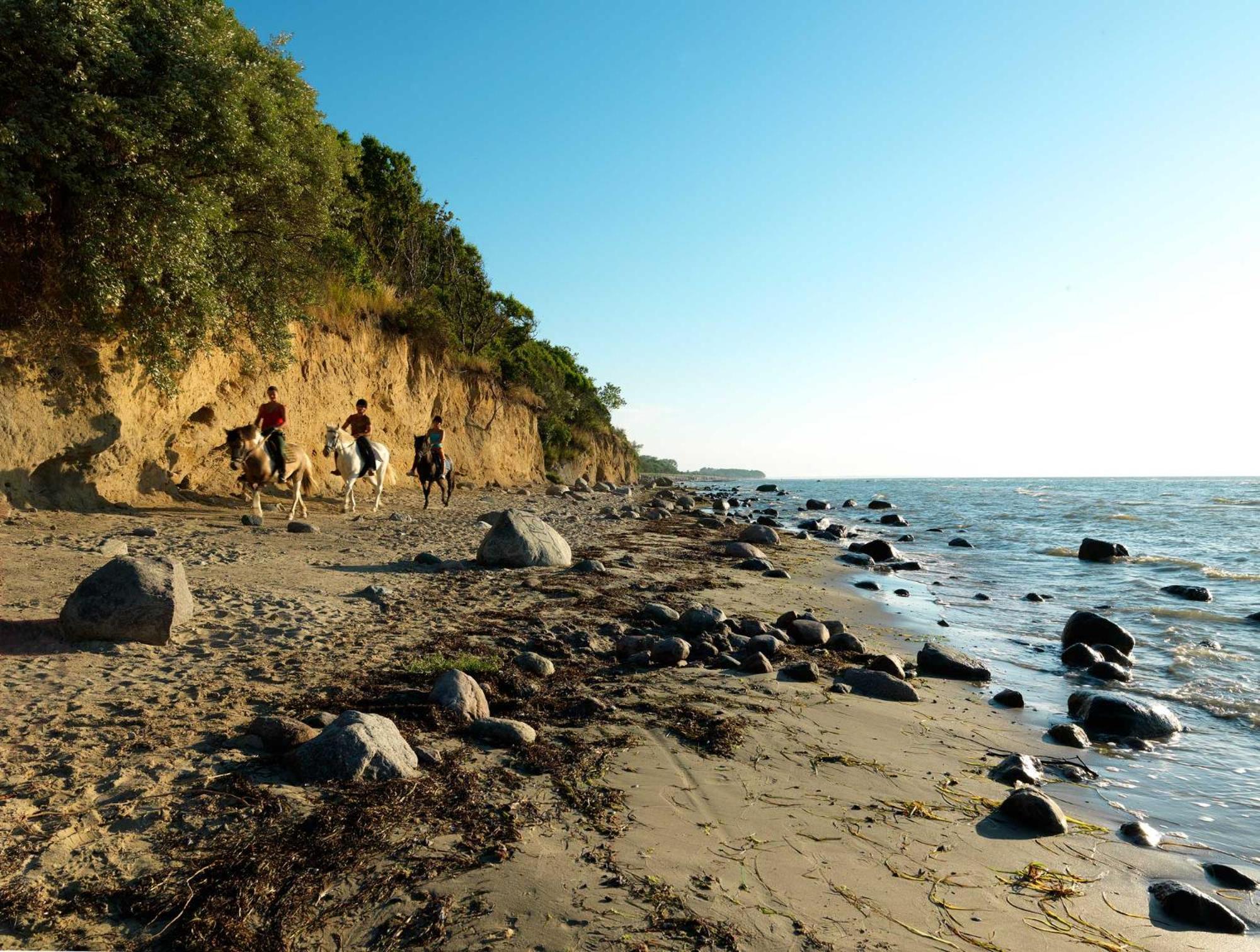 Daenische Ferienhaeuser Am Salzhaff Haus Pacific Insel Poel Kültér fotó